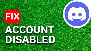 How to Fix Your Account Has Been Disabled Discord Mobile (2024) - Full Guide