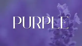 Creative, Mysterious, Royal: Meet Purple! (Color Meaning Video)