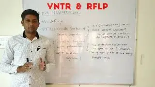 DNA fingerprinting. VNTRs and RFLP