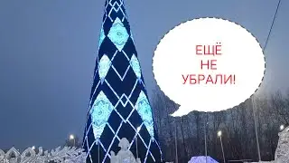 Что сегодня на Завтрак и Ужин! Эту Булочку-Обязательно! ЁЛКА на о.ТАТЫШЕВ!