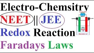 Complete Electrochemistry for NEET || JEE with Theory and Numerical and Faradays Laws