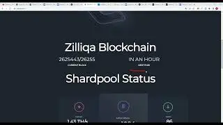 МАЙНИНГ NEXA + ZIL. НОВЫЙ АЛГОРИТМ НА WoolyPooly. ПОДРОБНАЯ НАСТРОЙКА HIVE OS. ЛУЧШИЙ ДОХОД МАЙНИНГ.