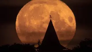 Der Supermond scheint heller denn je - die schönsten Bilder