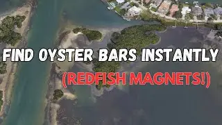 Every Oyster Bar Revealed (Even Hidden Ones)