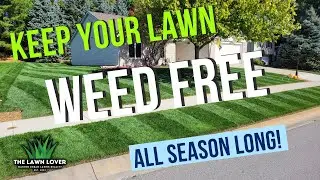 Pre Emergent: the ULTIMATE Weed Control For Your Lawn!