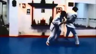 Ashihara Karate Techniques 1