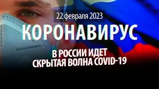 В России идет скрытая волна COVID-19. Статистика коронавируса в России на сегодня, 22 февраля 2023