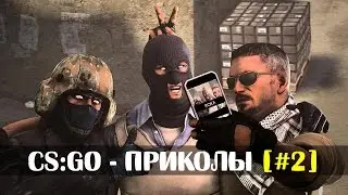 CS:GO - ПРИКОЛЫ (ПОДБОРКА COUB 2016) [#2]