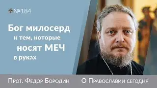 Маленький храбрый Федя. Священник Федор Бородин 