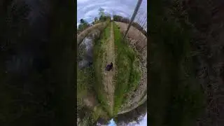 EX20 - Cruising along the path wtih some bird sounds. 
