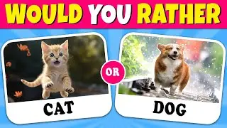 Would You Rather...? Animals Edition 🐶🐱