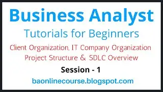 Business Analyst Tutorials for Bebinners | Client Organization | Project Structure | IT Company Org