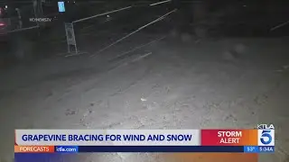 Grapevine hit with wind, snow & poor visibility