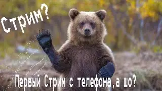 первый стрим с телефона)