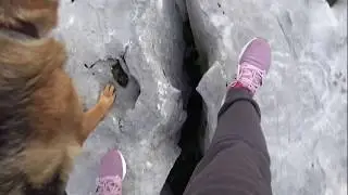 Немецкая овчарка на вершине мертых гор! Осторожно тут бьет током! Тайгу ударило током!
