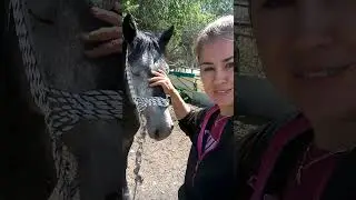 FIRST KISS WITH A STALLION 