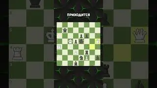 Красивее В Шахматах Вы Ничего Не Видели! 