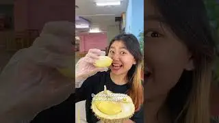 Mukbang durian 1 truk kontainer 
