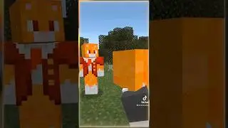 Кто такой Анти-Симба?🤔 (Айсберг Симбы) #симбочка #minecraft #антисимба