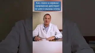 Стрессовые Боли в Шее и Головные боли Напряжения. Влияние стресса мышцы воротниковой зоны.