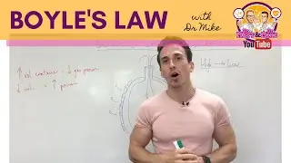 Boyle's Law | Respiratory System