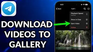 How To Download Telegram Videos To Gallery