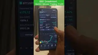 $80 Investment $4200 Bitcoin Trading Profit 🔥🔥🔥 