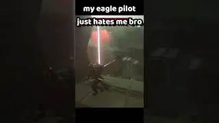 eagle pilots just hate helldivers having a good time