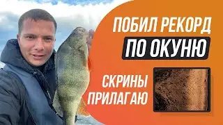 МЕГА окуни сделали мой приезд в Казань / Смотрим как на эхолоте отображается