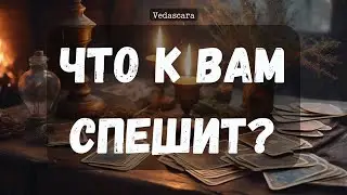 🎀 БЕЗПОВОРОТНО! ЧТО/КТО К ВАМ СПЕШИТ? ✨ Гадание на таро онлайн 🔮 Vedascara