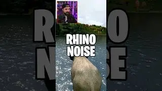 There's Rhino's In DayZ?!?!