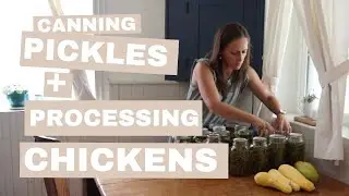 Teaching Kids Self-Sufficiency Skills | Processing Chickens + Canning Pickles