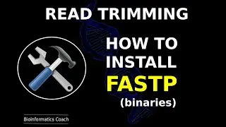 fastp installation and usage in linux | Bioinformatics Tools