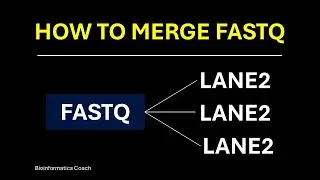 Merge Multi Lane FastQ files -  Paired End Reads