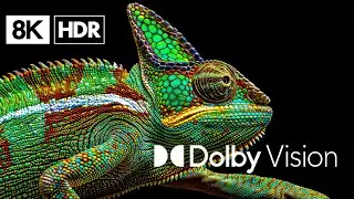 ULTRA SHARP 8K DOLBY VISION™ (60 FPS)