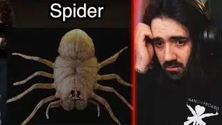 Compran una ARAÑA como MASCOTA en la DARKWEB y SALE MAL