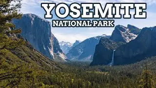 Yosemite National Park: 3 Day Travel Guide For First Time Visitors (13/63)