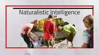 Naturalist Intelligence Naturalistic Learners