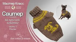 Свитер для собаки на круглой кокетке спицами, часть 1