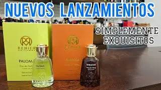 Nuevos lanzamientos Renier Perfumes