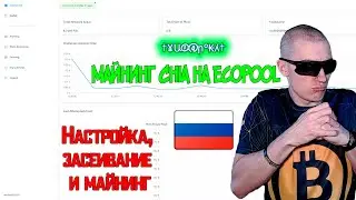 Майнинг Chia на РОССИЙСКОМ ecopool'е - Настройка, засеивание и майнинг