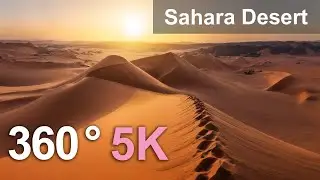 Sahara Desert, Algeria. Aerial 360 video in 5K