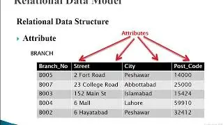 Relational Data Model