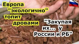 Европа затопила дровами вместо угля и газа   куплеными у ненавистных Белоруссии и России