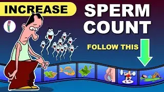 How to increase Sperm Count | Sperm count increase food | Infertility | Low Sperm Count - Solution
