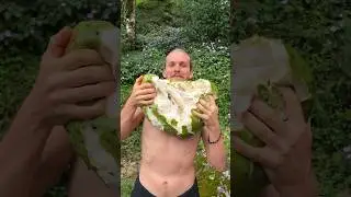 Top 5 Fruits (Costa Rica Edition)