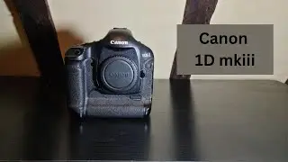 Retro Review - Canon EOS 1D mkiii