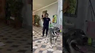 Титан молодой супер тяж