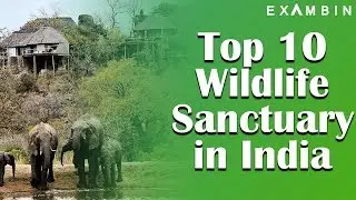 Top 10 Wildlife Sanctuaries in India UPSC | Wildlife Sanctuary and National Parks Series - 3