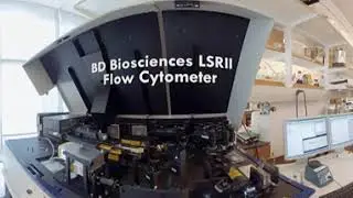 360-video tour of USC's stem cell research center